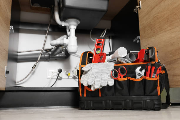 Best Commercial Plumbing Services  in Pleasanton, TX